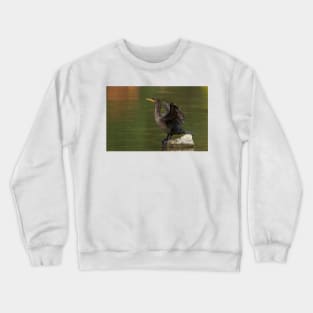 Double-crested Cormorant Crewneck Sweatshirt